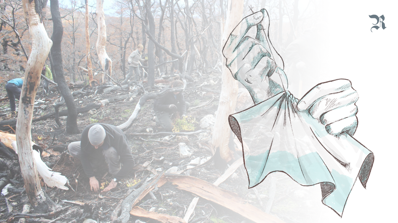 Fuego y soberanía. ¿Cómo seguimos?